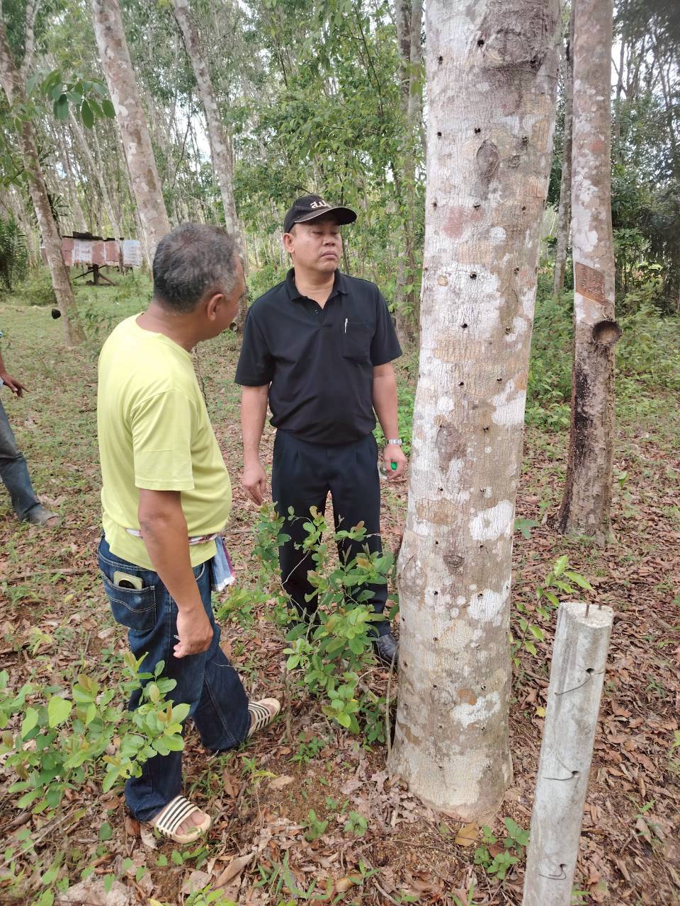title - ส.ป.ก. ลงพื้นที่ตรวจเยี่ยมและติดตามการดำเนินงานกิจการวิสาหกิจชุมชนไม้กฤษณาแปรรูป